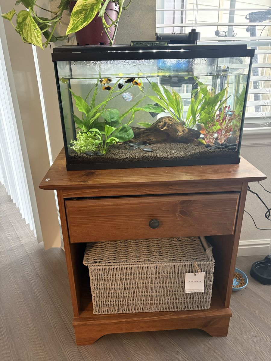 10 gallon fish tank and everything with it