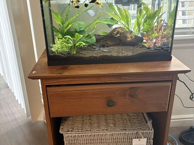 10 gallon fish tank and everything with it