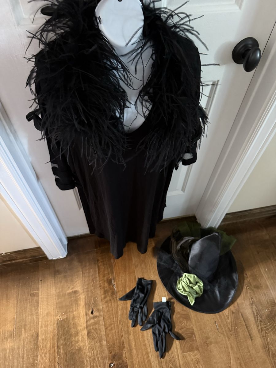 Adult XL stretchy witch costume with fancy hat feather necklace we pinned on.