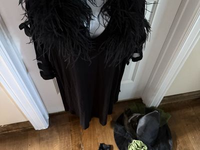 Adult XL stretchy witch costume with fancy hat feather necklace we pinned on.