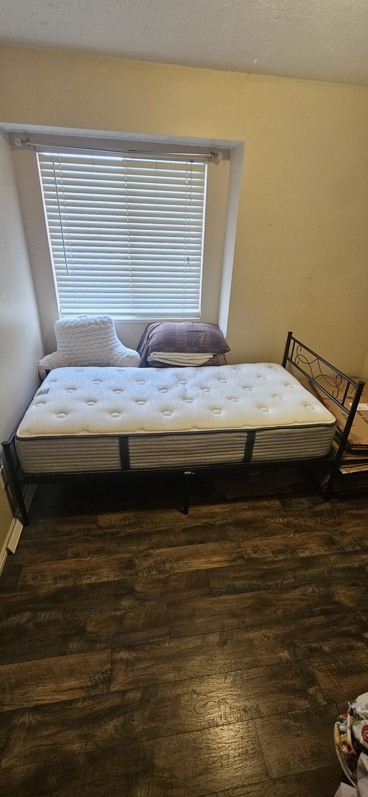 Twin Bed Frame and Matress