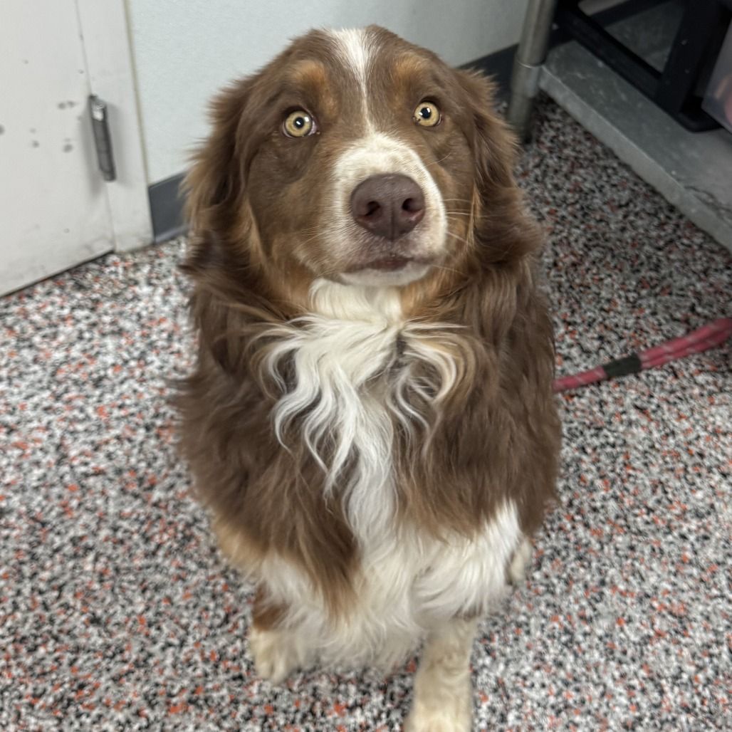 Hello my name is Fritz