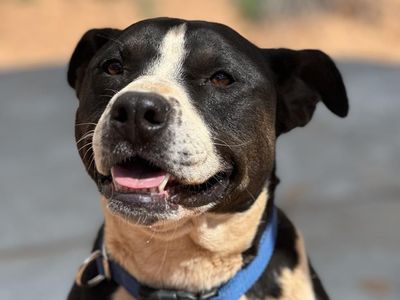 Hello my name is Betty White