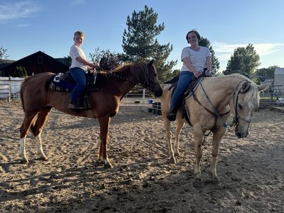 Lesson and 4-H gelding for partial lease or for sale!