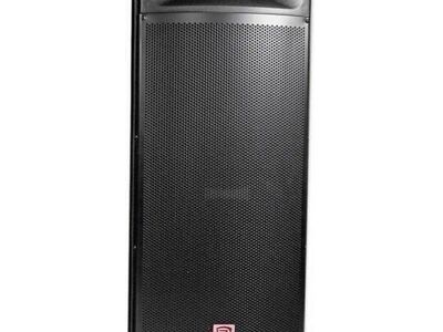 Dual 15" 3000w 8-Ohm Passive Speaker DJ