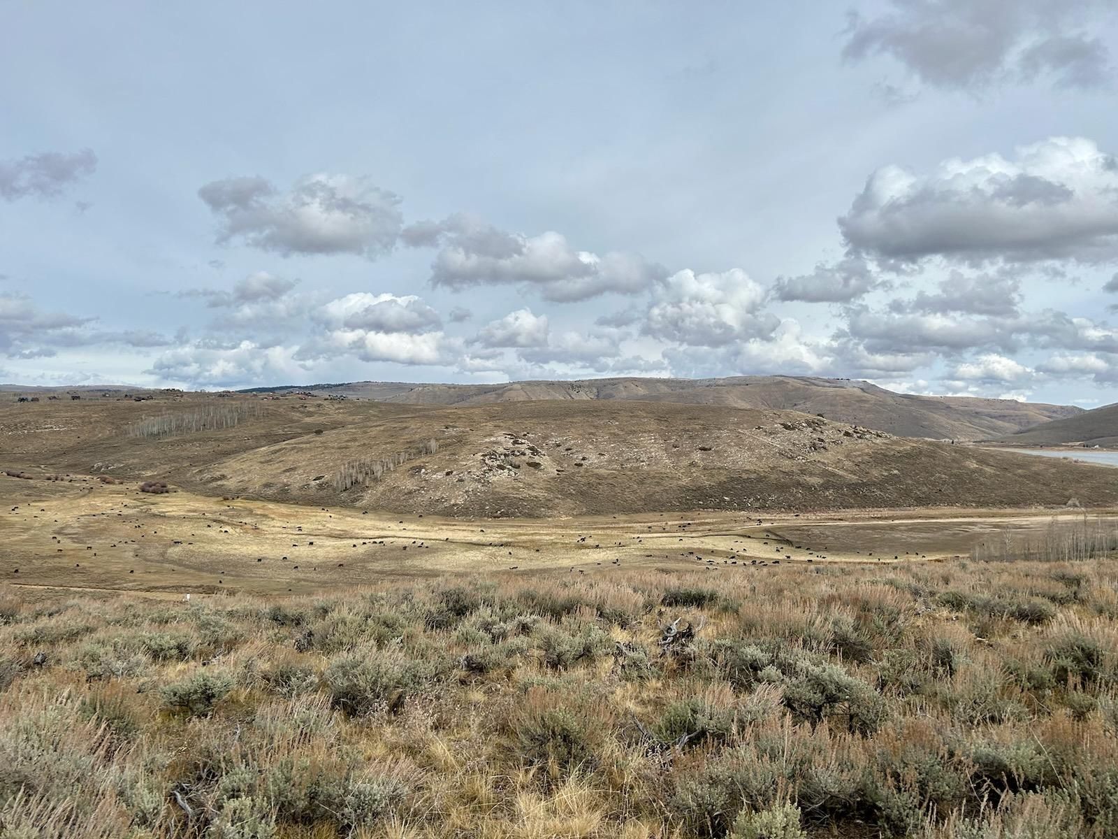 Main image 9