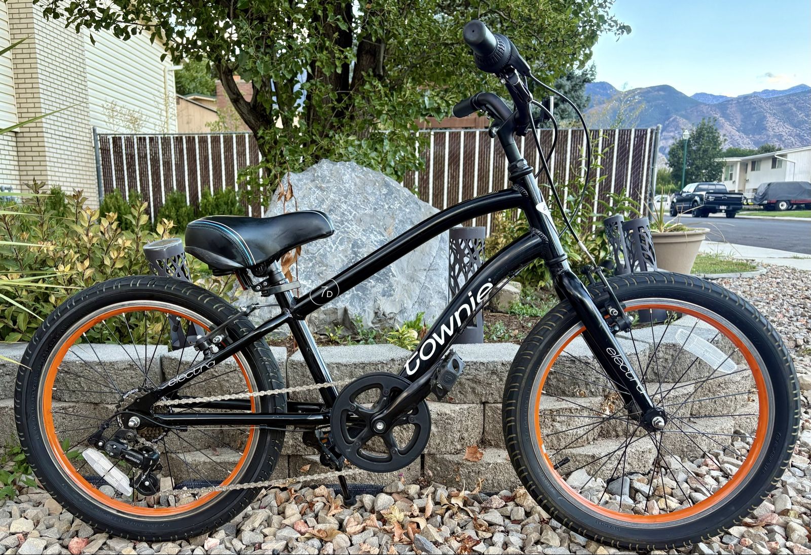 20” Electra Townie 7D 7-Speed Bike