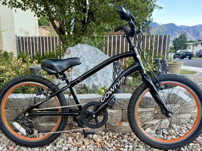 20” Electra Townie 7D 7-Speed Bike