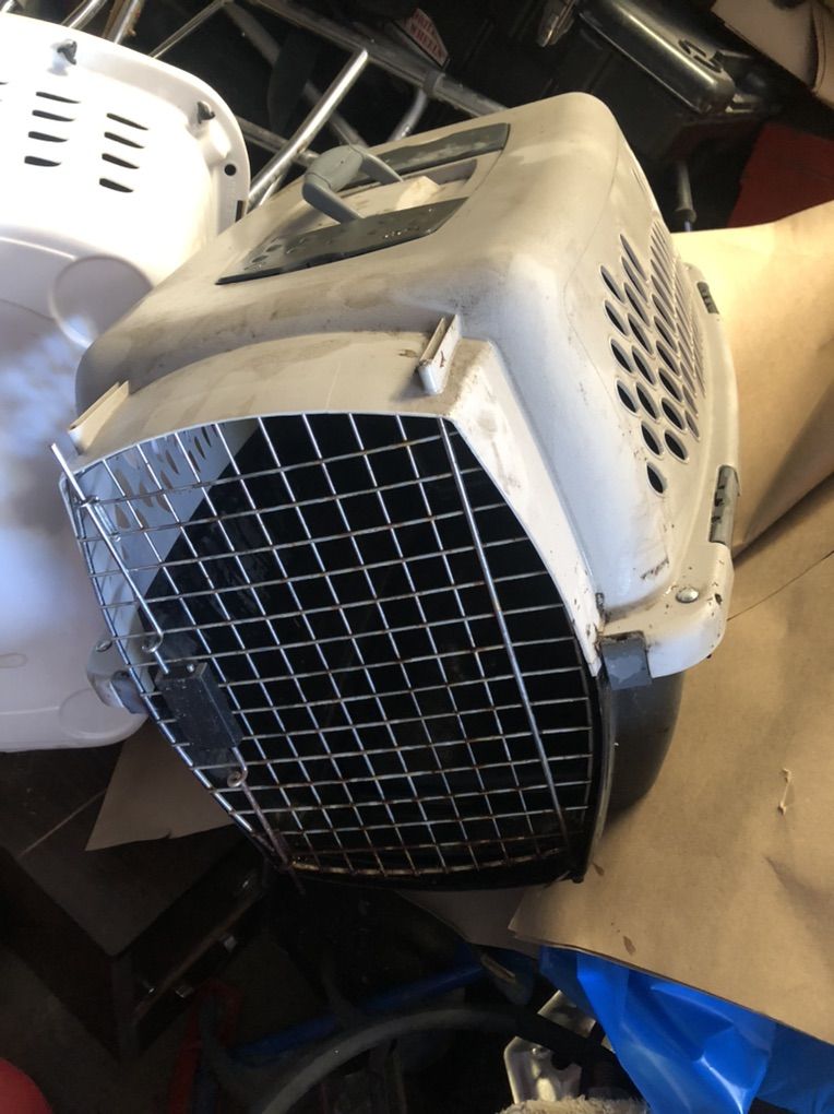 Cat Carrier