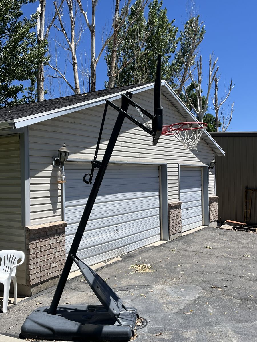 Basketball standard