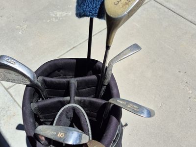 Storage shed auction items