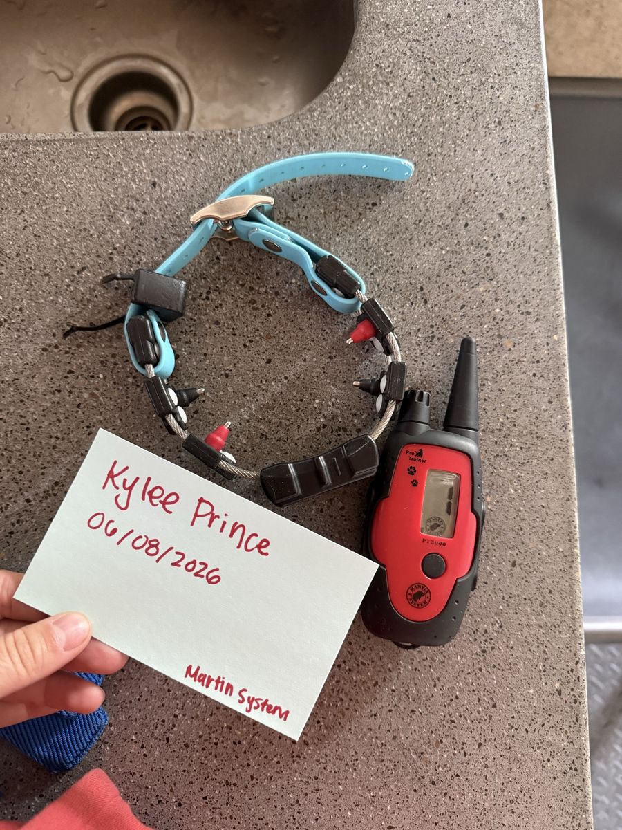 Martin System Chameleon Dog Training Collar PT3000 Remote Trainer with Case - Used, Excellent Condition
