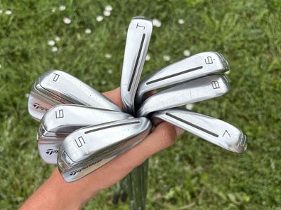 TaylorMade P790 Iron Set (4-PW)