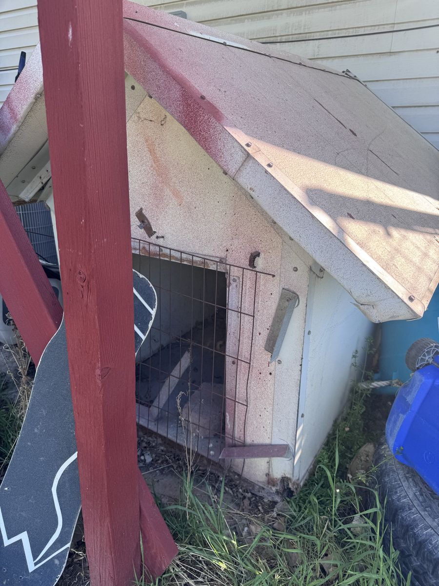 Dog house
