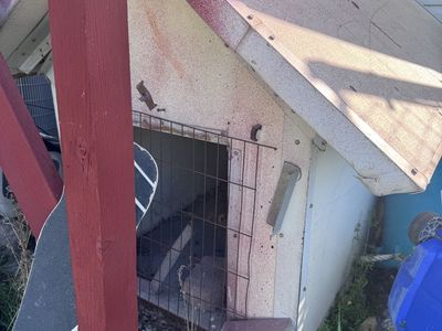 Dog house