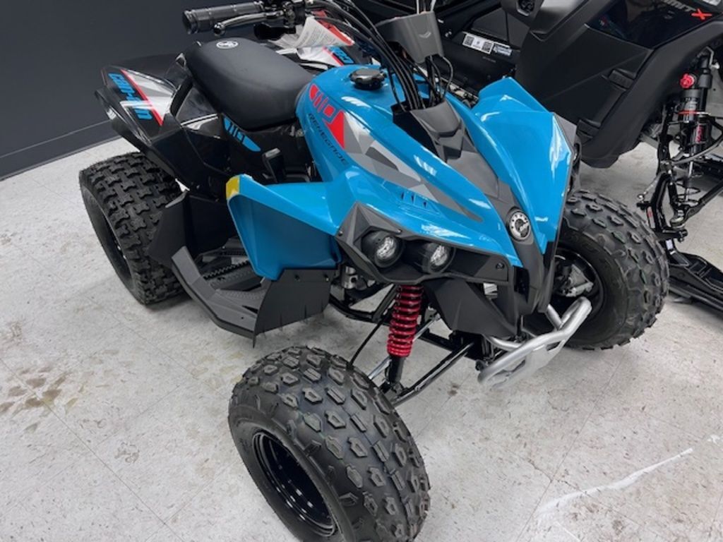 2026 Can-Am® Renegade 110 EFI