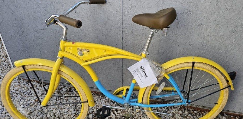 Brand new Adult Beach Cruiser