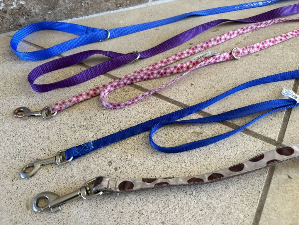 3 Dog Leashes Plus 2 Free Small Slip On Ones