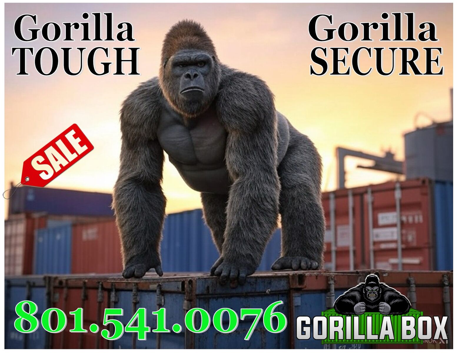 20' and 40' High Cube Shipping Containers. Great Office, Shed, Used and New One Trip Conex, Connex, Storage, Best Price!