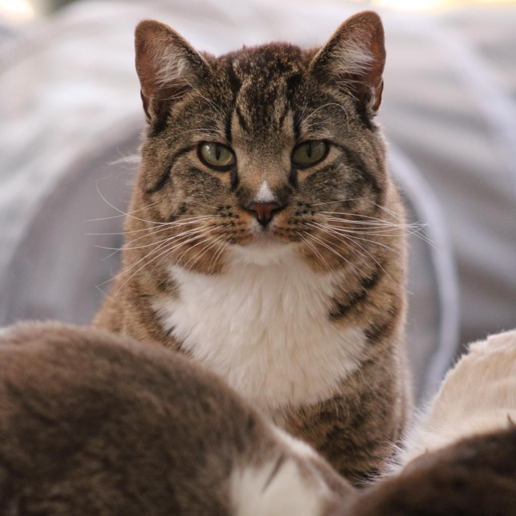 Hello my name is Declan