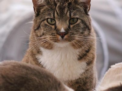 Hello my name is Declan