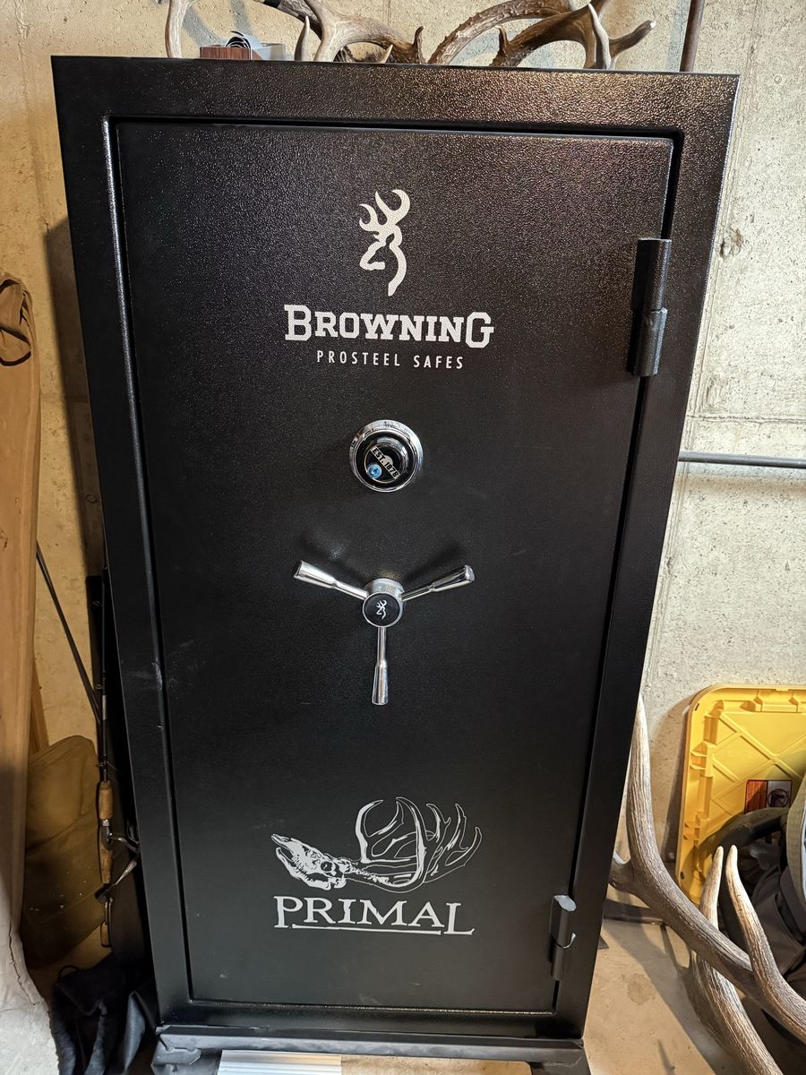 Browning 23 gun safe