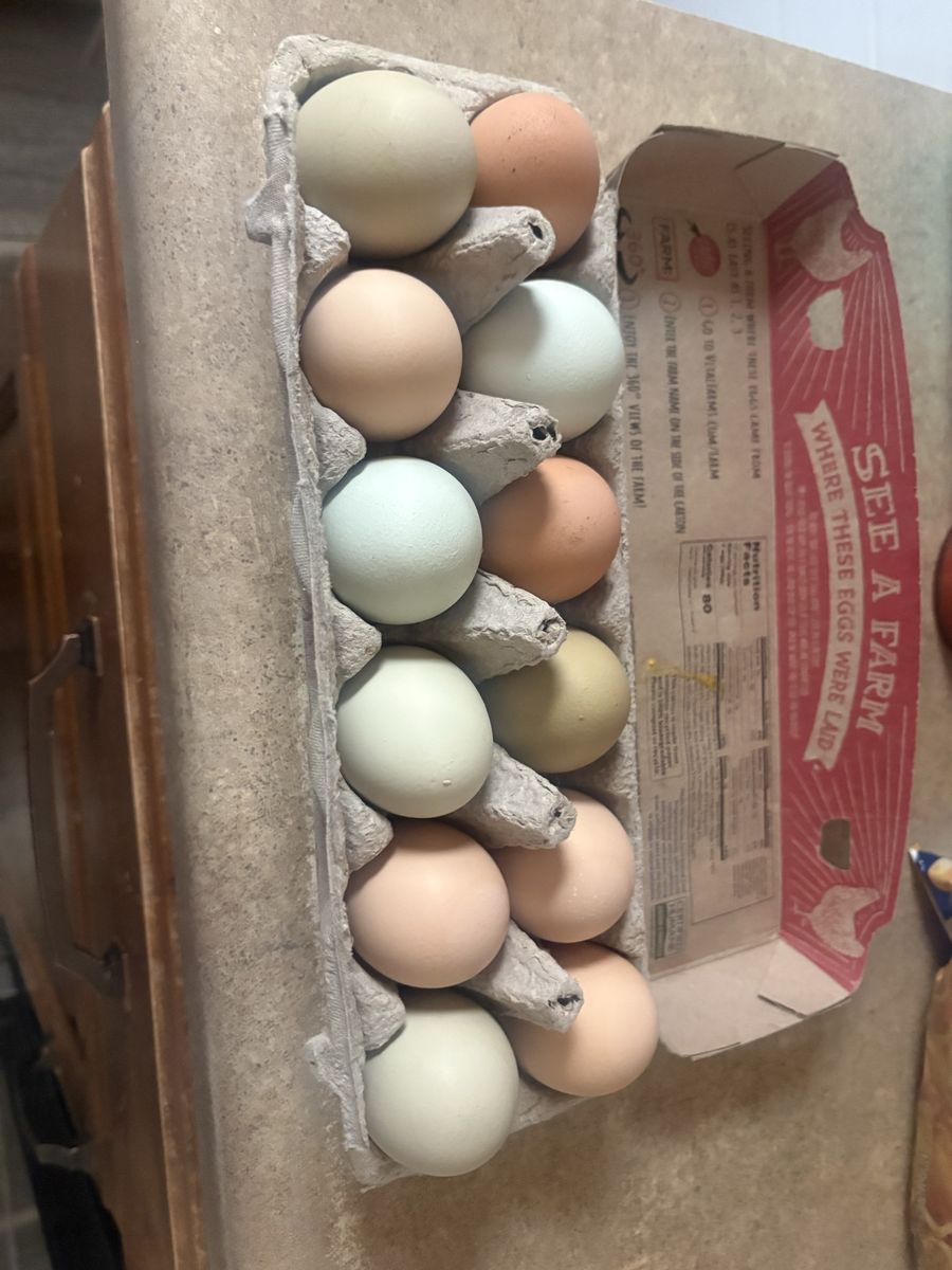 Fresh Farm Eggs