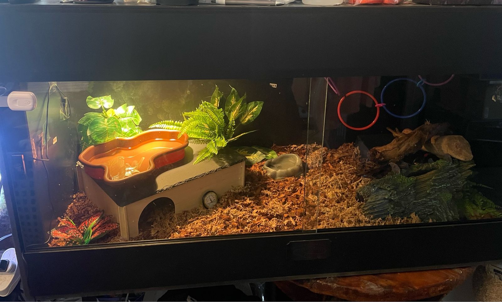 120 gallon reptile enclosure with stand for sale this one is not the enclosure the one for sale in new and still in the box