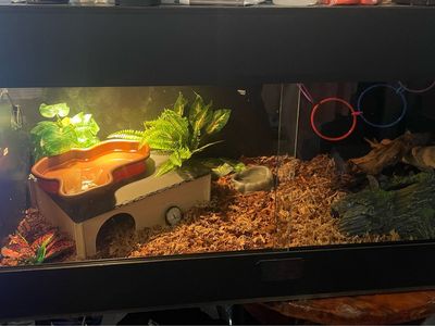 120 gallon reptile enclosure with stand for sale this one is not the enclosure the one for sale in new and still in the box