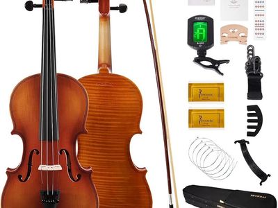 Pheonix High Quality Professional Violin Handmade