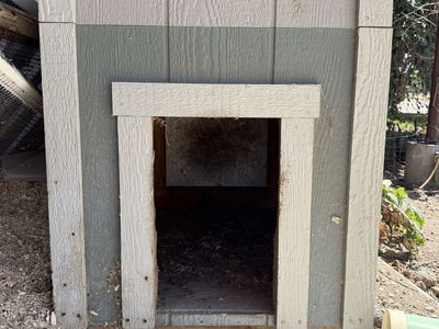 Wooden dog house