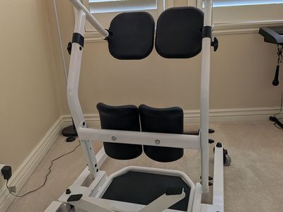 Sit to stand lift