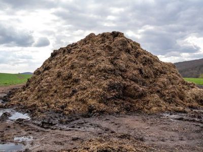 Organic Cow Manure – Garden Fertilizer – Loaded with Tractor