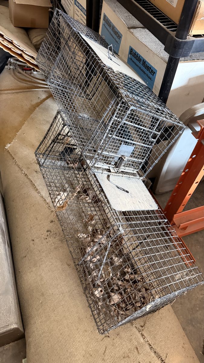 Two large live animal traps - 11" x 11" x 35"