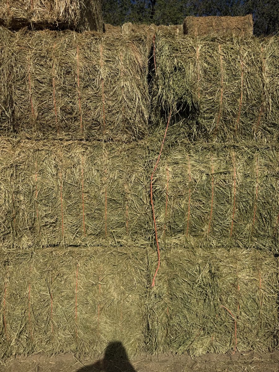 3x4 Alfalfa Hay