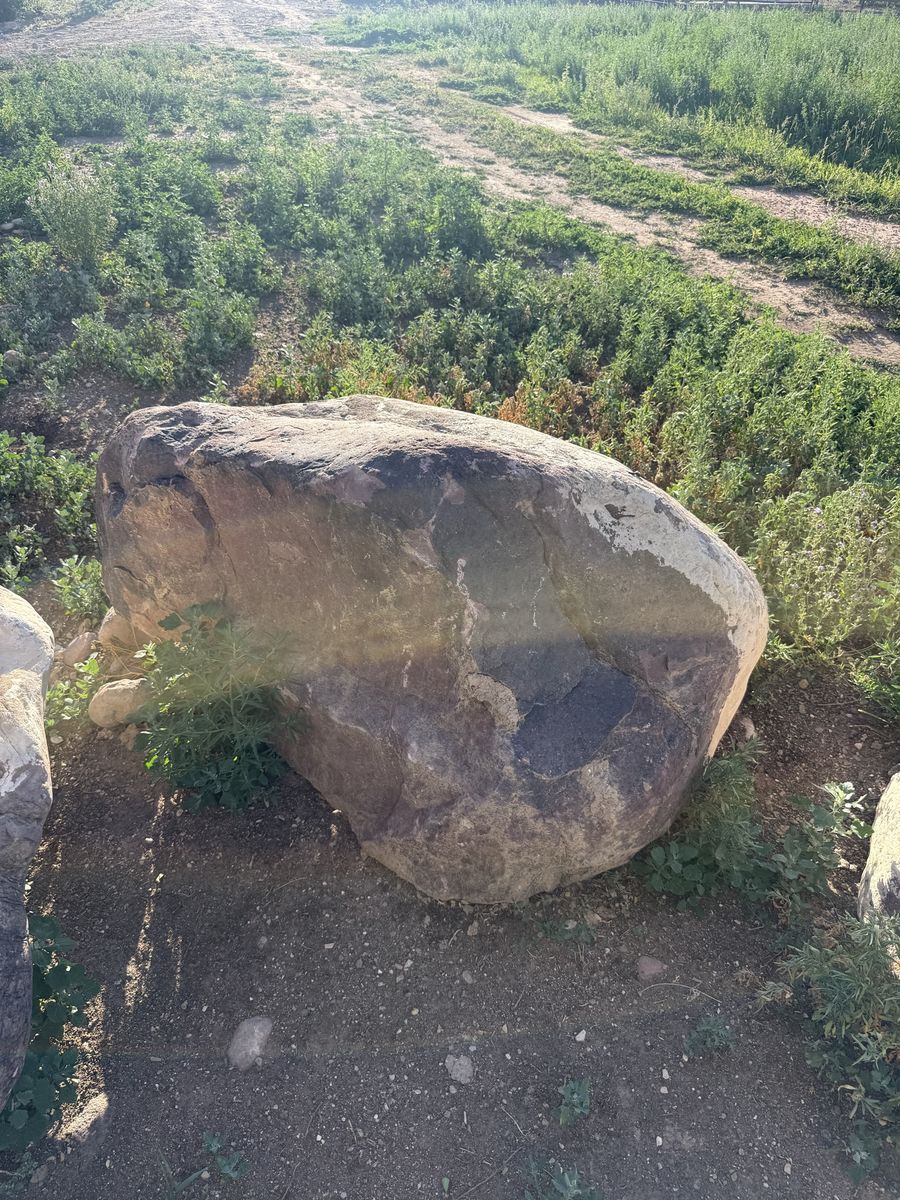 Main image 6