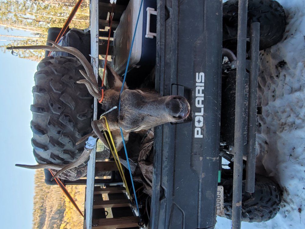 2023 full size Polaris ranger