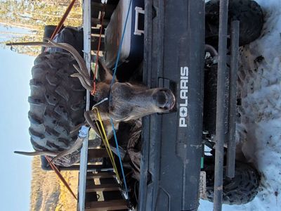 2023 full size Polaris ranger