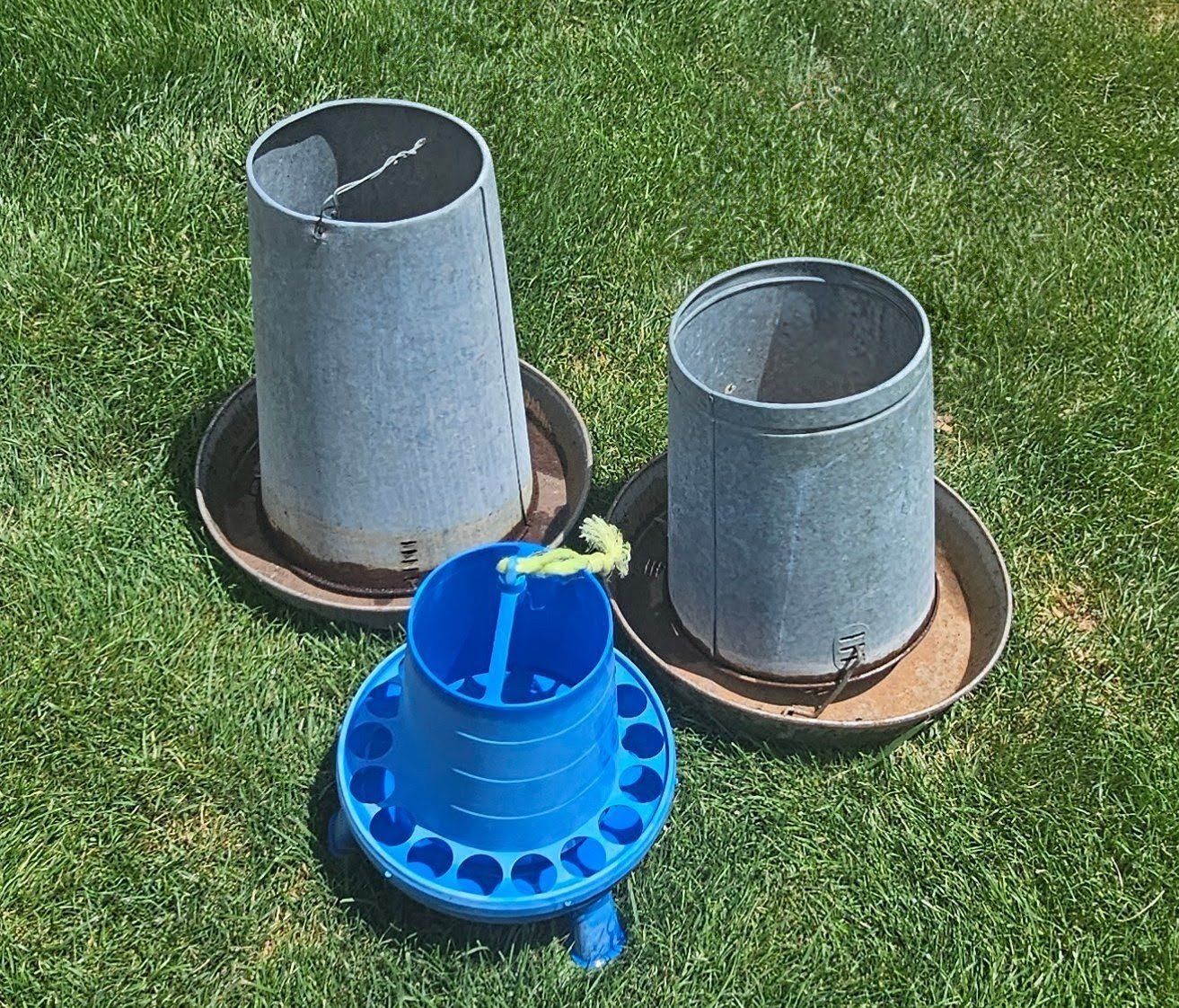 chicken poultry pheasent chucker gamebird pigeon feeders