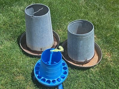 chicken poultry pheasent chucker gamebird pigeon feeders