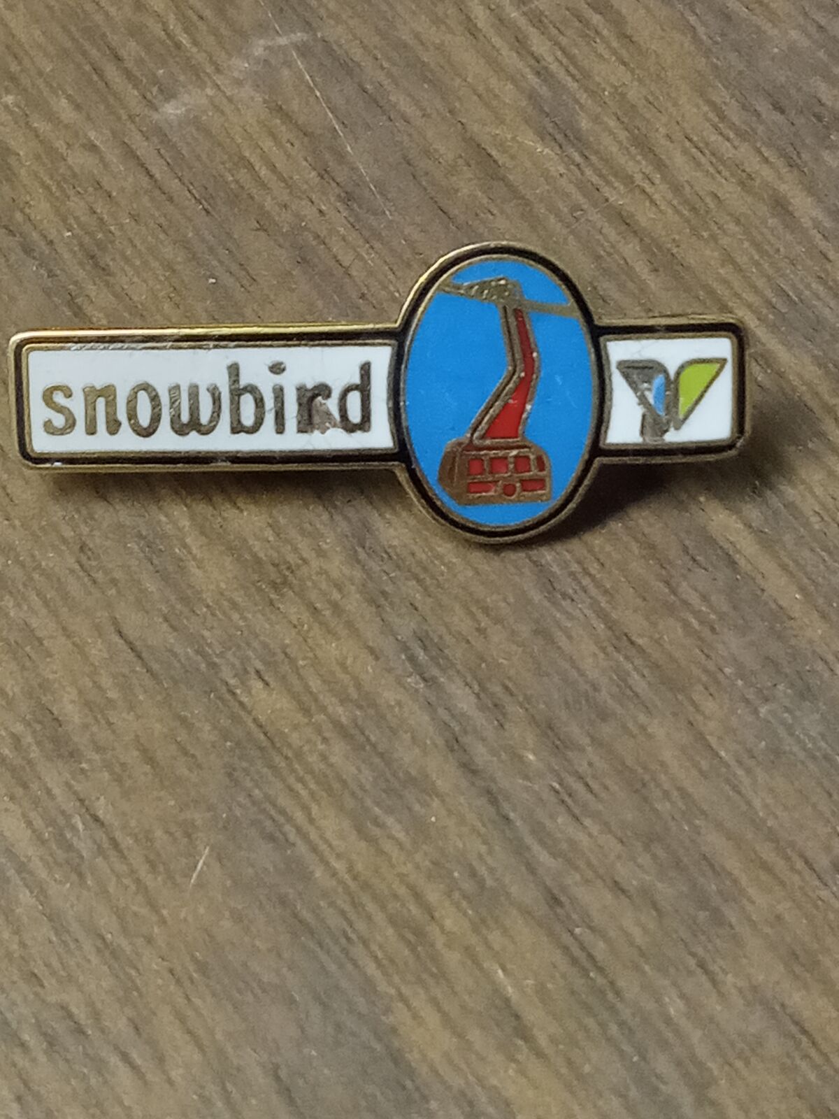 Snowbird resort collector pin