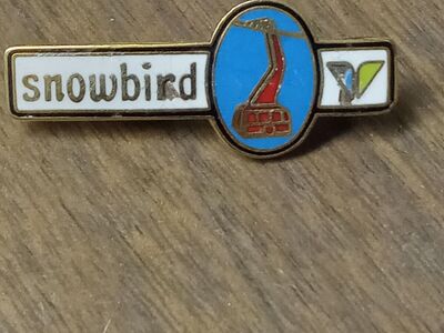 Snowbird resort collector pin