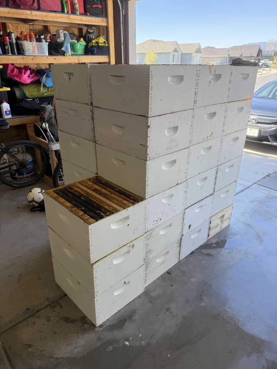 Beekeeper deep hive box for beekeeping