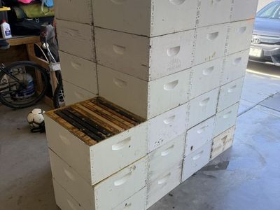 Beekeeper deep hive box for beekeeping