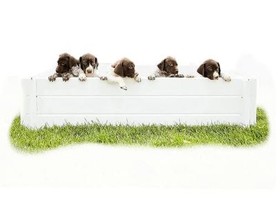 Vinyl Whelping Boxes/Small Animal Pens