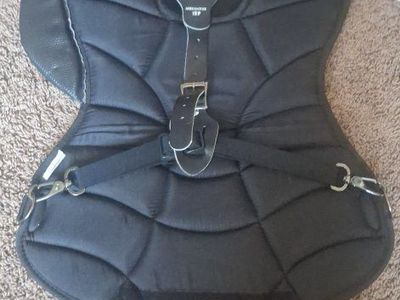 Rawlings Ages 12+ Over Chest Protector Catcher's Gear Black 12P Baseball Softball