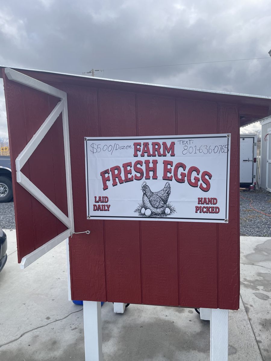 FRESH FARM EGGS