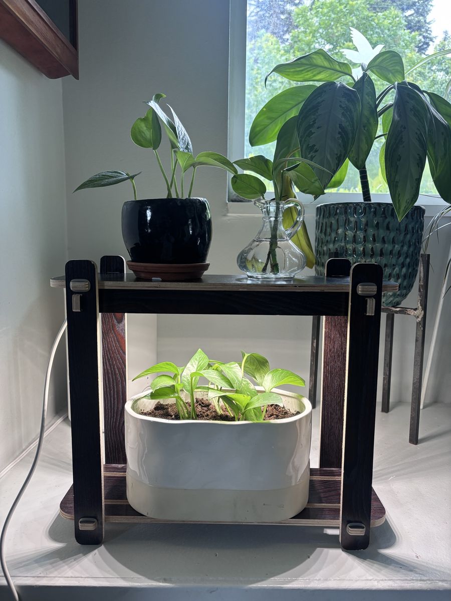 Plant stand with grow light