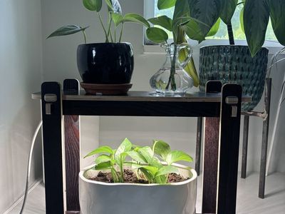 Plant stand with grow light