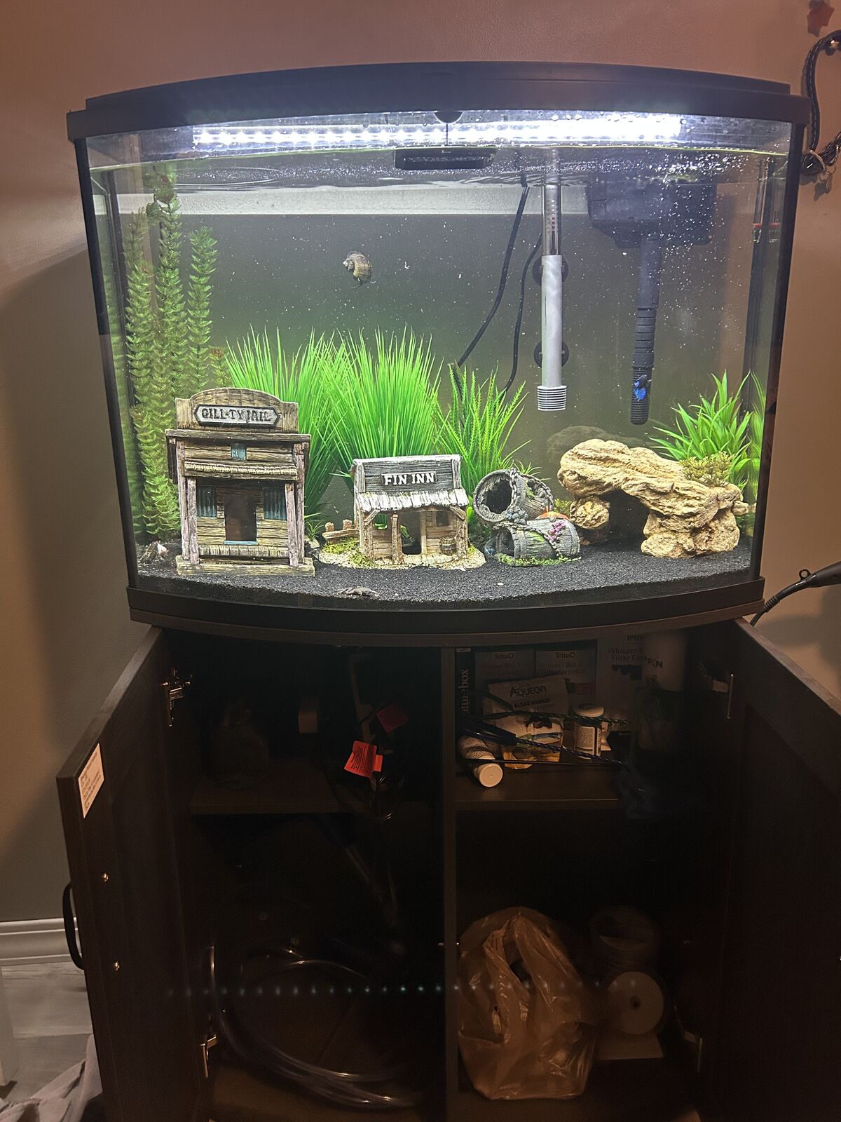 36 G Bow Front Tank W/Stand